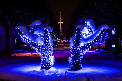 Illumination02