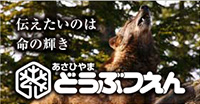 旭山動物園