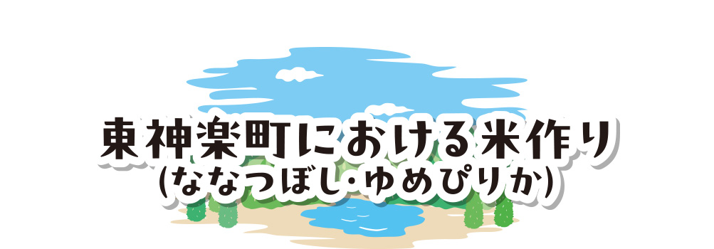 東神楽町における米作り（ななつぼし・ゆめぴりか）