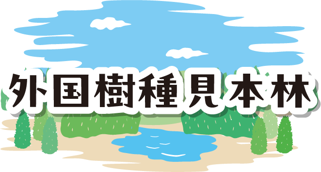 外国樹種見本林
