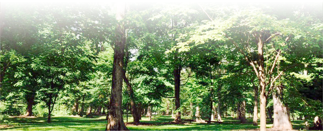 神楽岡公園