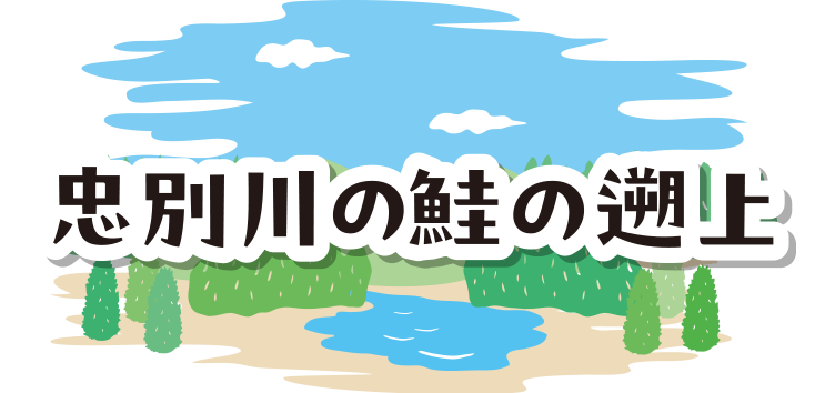 忠別川の鮭の遡上