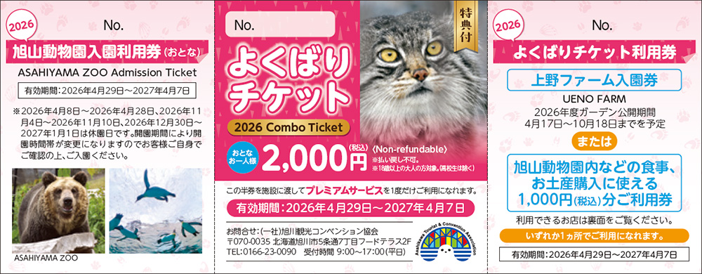 よくばりチケット見本